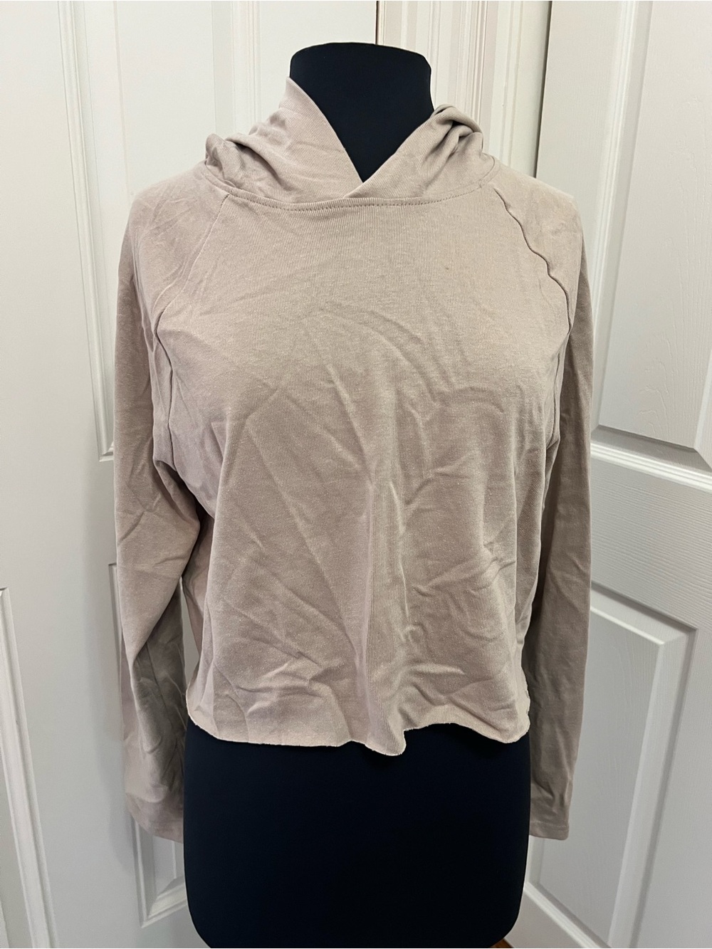 Divided H&M Womenโs Lightweight Hooded Pullover Cropped Top